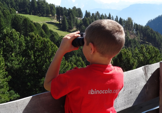 Come scegliere binocolo