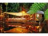 daintree-eco-lodge-daintree-australia-eco-alloggi-di-lusso-nella-foresta-pluviale-nel-nord-dellaustralia-tra-coccodrilli-e-squali-un-gruppo-di-guide-aborigene-molto-realistiche-e-poco-folcloristiche-spiegano-le-proprie-radici-culturali-agli-ospiti-non-manca-una-spa-con-speciali-terapie-locali