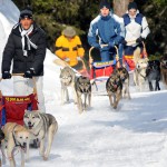 Sleddog a La Thuile