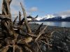 mare-a-seward-credits-emanuele-equitani