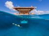 the-manta-resort-zanzibar-se-il-vostro-sogno-quello-di-prendere-sonno-nelle-profondit-del-mare-il-manta-resort-situato-sulla-meravigliosa-isola-di-pemba-vi-potr-regalare-un-soggiorno-circondato-da-pesci-squali-e-altre-creature-marine-dispone-infatti-di-una-singola-sistemazione-una-sorta-di-isoletta-privata-a-due-piani-con-la-camera-da-letto-situata-a-quattro-metri-di-profondit