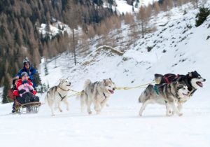 sleddog in Italia