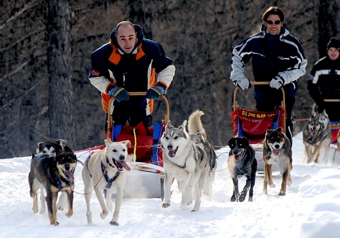 sleddog in Italia