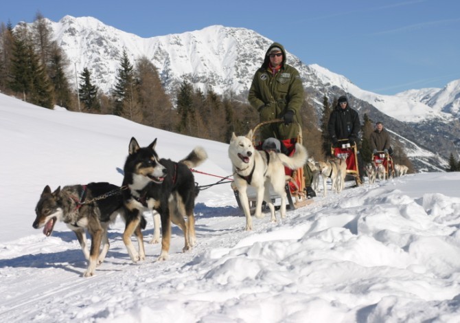 sleddog in Italia