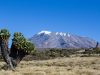 kilimanjaro-flickrcc-hyperfocaldistance