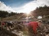 spartan-race-les-castellet-2013-11-24