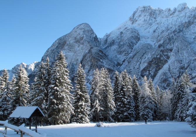 Sci di fondo Tarvisio