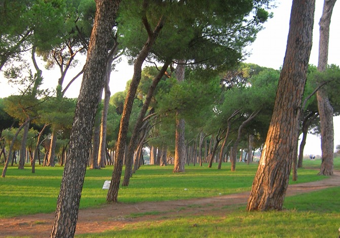 Running Villa Glori