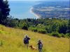 a-piedi-per-gli-appassionati-di-trekking-il-conero-offre-una-vasta-scelta-con-ben-18-sentieri-che-attraversano-il-parco-in-lungo-e-in-largo-in-particolare-appuntatevi-questi-due-percorsi-tematici-boschi-un-cammino-semplice-di-3-ore-che-sale-e-si-mantiene-in-vetta-attraversando-siti-di-interesse-storico-e-alberi-antichi-e-il-conero-un-itinerario-di-2-ore-e-mezza-circa-che-si-consiglia-di-percorrere-destate-dopo-il-tramonto-per-una-visione-insolita-della-natura-sotto-le-stelle