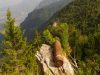 trekking-valle-di-ledro-residuato-bellico-sfondo-rifugio-pernici-lago-garda-home