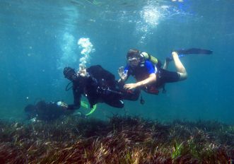 Campi estivi, una vacanza nella natura per bambini e ragazzi