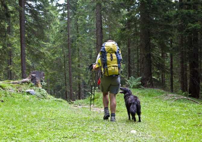 In montagna col cane, le 3 precauzioni fondamentali - SportOutdoor24