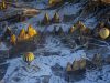 cappadocia-turchia