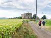 quando-partire-i-mesi-migliori-sono-maggio-giugno-e-settembre-ottobre-per-evitare-il-caldo-eccessivo-che-in-certe-zone-come-la-pianura-padana-pu-davvero-far-male-giugno-settembre-il-periodo-in-cui-aperto-il-valico-del-gran-san-bernardo-sono-anche-i-mesi-in-cui-gli-eventi-culturali-dislocati-lungo-il-percorso-sono-pi-numerosi-interessanti-e-popolati