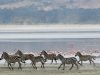 ngorongoro-tanzania