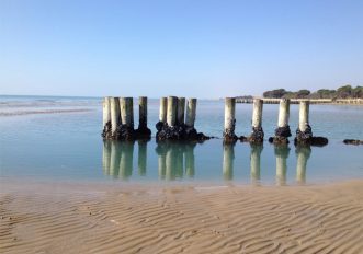 In bici fra le spiagge del Veneto e il Tagliamento