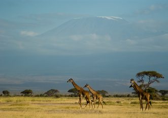 Foto: 5 parchi naturali africani da visitare assolutamente