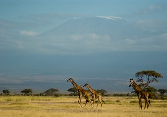 parchi naturali africani