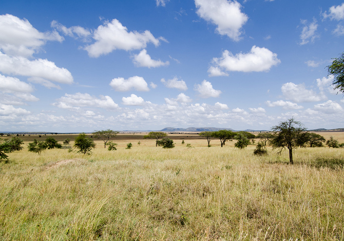 parchi naturali africani