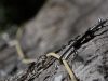 stree-boulder-cernio