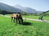 aigner-badl-il-tipico-paesino-della-val-pusteria