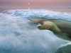 28-paul-souders-usathe-water-bear