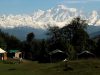 india-magpie-camp