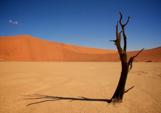 Foto: Dead Vlei, la palude morta che sembra un quadro