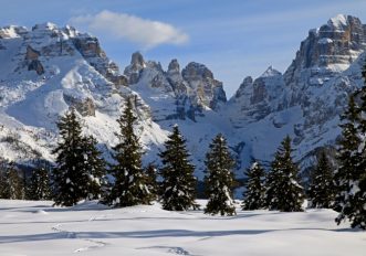 Parco Adamello Brenta - P. Geminiani