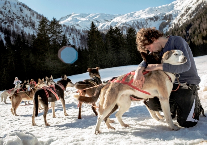 Trentino Sleddog