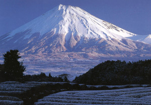 Monte Fuji 5 trekking divini sulle montagne sacre