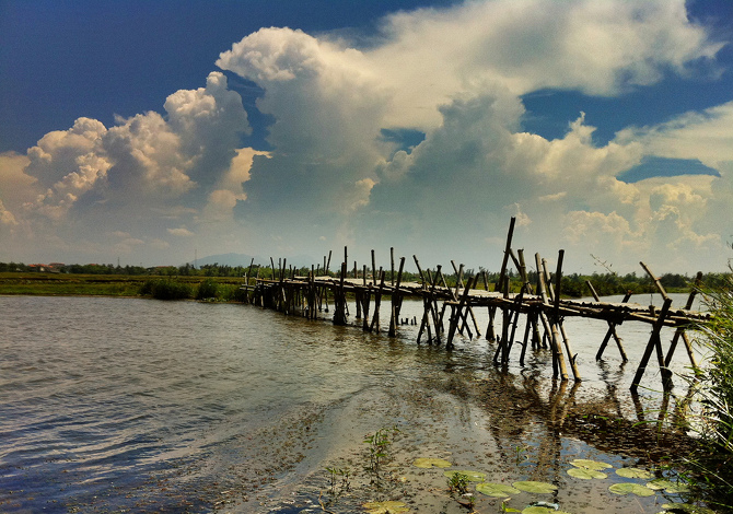 Ponti-bambù-delta-del-Mekong