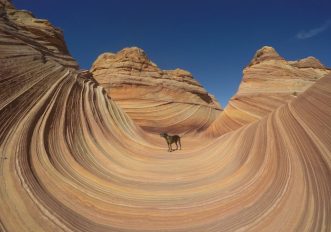 Oggi è l’Earth Day, tutti a fare sport nella natura!