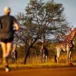 Marathon Big Five