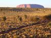 marathon-outback-australian