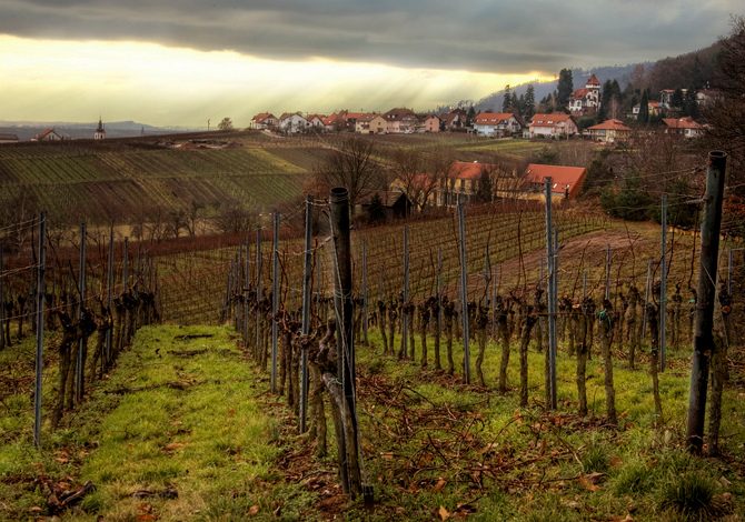 Deutsche Weinstrasse Strada Vino Germania