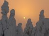 tykky-finlandia-le-sentinelle-dellartico-sono-candidi-e-spettrali-giganti-alberi-ricoperti-di-brina-ghiacciata-il-fenomeno-si-verifica-nel-gelido-inverno-lappone-quando-le-temperature-si-attestano-tra-i-40-e-i-15-gradi-centigradi-credits-leo-set-flickr