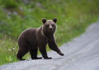 5 attività outdoor da fare in Estonia (e che forse non conoscevi)