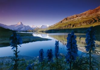 8 bellissimi panorami lungo la Via Alpina