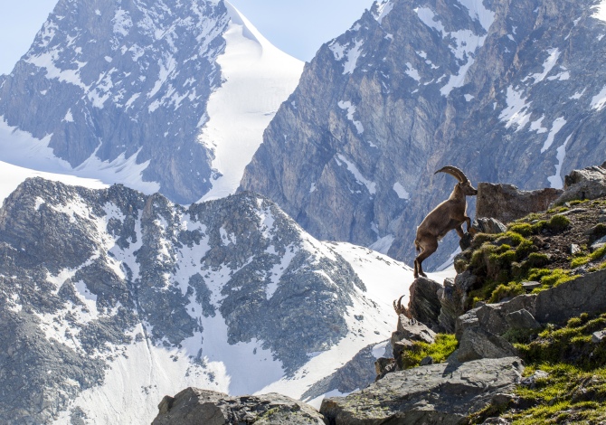 Sentiero dei Passi Alpini