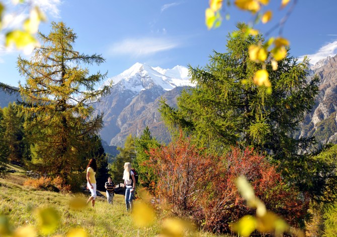 Sentiero dei Passi Alpini