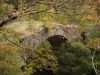 il-parco-dellaveto-comprende-i-comuni-di-borzonasca-mezzanego-ne-e-rezzoaglio-nel-mezzo-dellappennino-ligure