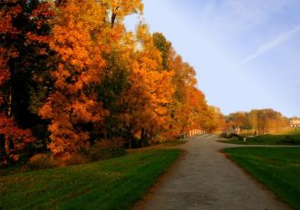 Le 10 migliori mete per il foliage