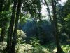 leuser-ecosystem-trails-sumatra