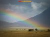 rainbow-copia