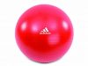 fitball