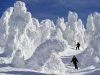 zao-onsen-ski-resort-honshu-li-chiamano-juhyo-ovvero-alberi-di-ghiaccio-o-pi-chiaramente-snow-monsters-i-mostri-della-neve-sono-una-caratteristica-di-zao-onsen-e-di-pochi-altri-posti-del-giappone-dove-si-crea-la-stessa-peculiare-combinazione-di-pesantissime-nevicate-e-vento-gelido-che-blocca-le-piante-innevate-in-queste-forme-affascinanti-credits-photo-visit-japan