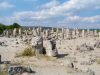 foresta-pietrificata-di-pobiti-kamani-bulgaria