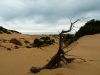 dune-di-piscinas-italia