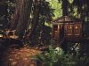 treehouse-point-usa-nella-zona-di-seattle-di-case-sugli-alberi-ce-ne-sono-parecchie-compresa-questa-30-minuti-fuori-citt-ambitissima-per-banchetti-di-nozze-ed-eventi-del-genere